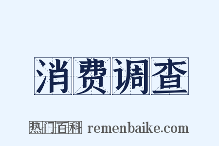 消费调查是什么意思的图片